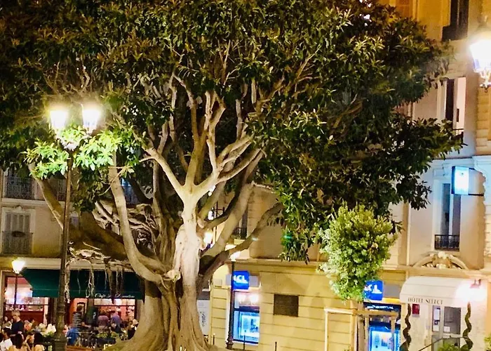 セレクト ホテル